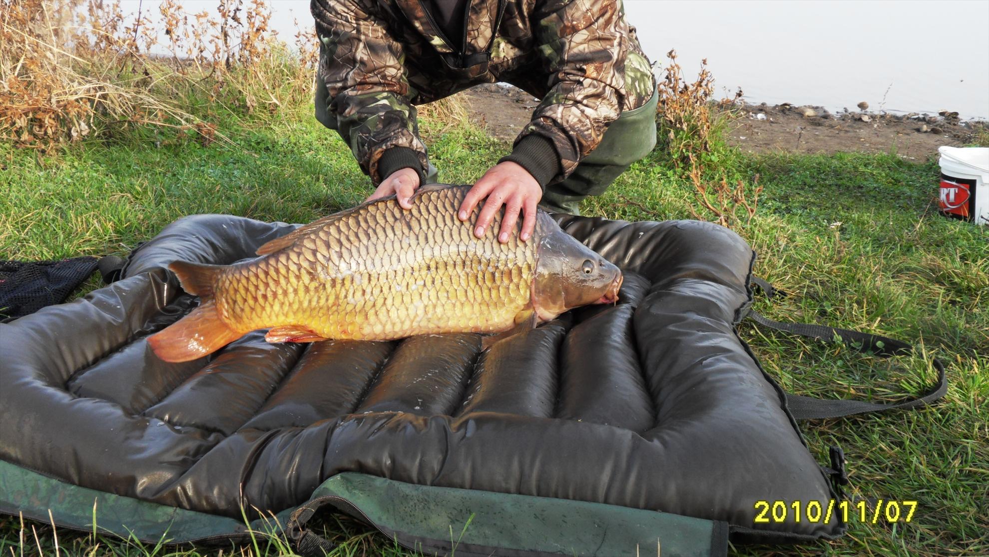 Livada de Bihor 2010 - livada-de-bihor-2010-044.JPG